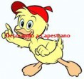 /album/prodotti-clip-animalandia/pulino-giallo-filigrana-jpg/